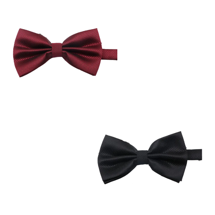 Παπιγιόν σκύλου LOVELY BOW