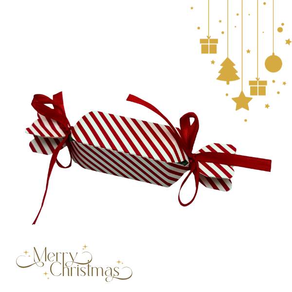 Λιχουδιά σκύλου Χριστουγεννιάτικη Magic BOX