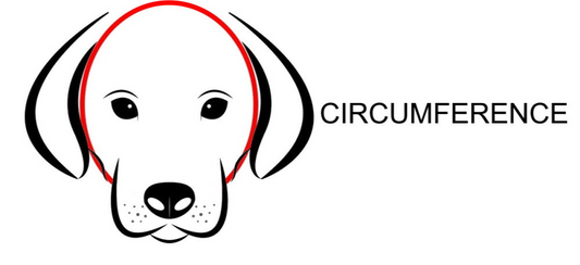 Καπέλο σκύλου G Blue