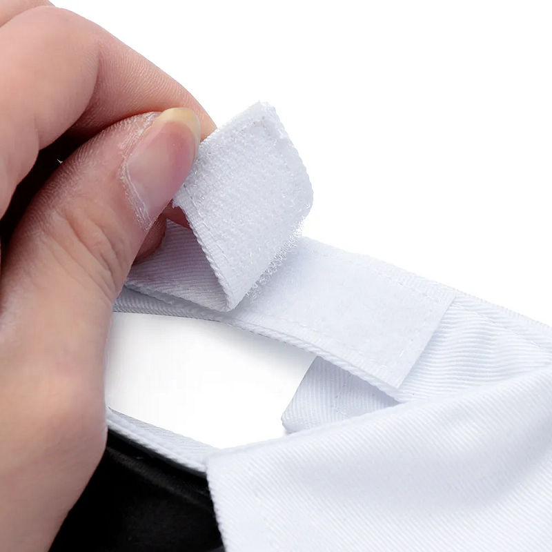 Παπιγιόν σκύλου-γάτας BOWTIE