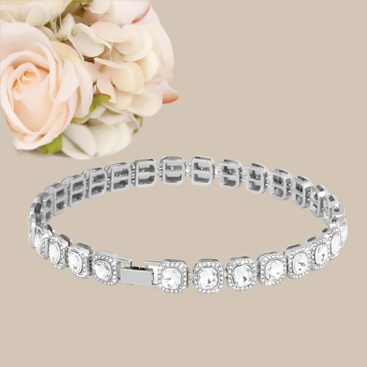 Κολιέ σκύλου-γάτας ALL STARS