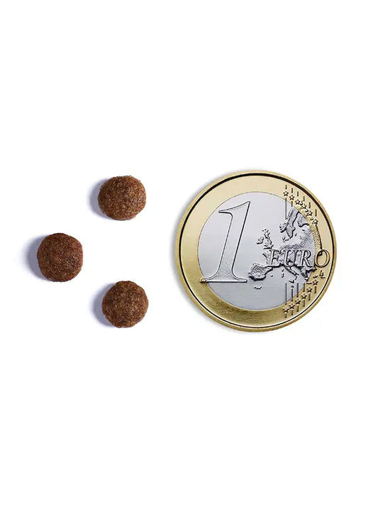 Ambrosia GrainFree Adult Φρέσκος Σολομός- Κουνέλι ξηρά τροφή σκύλου