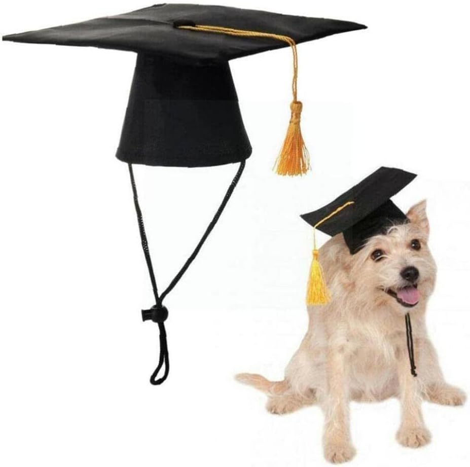 Καπέλο αποφοίτησης σκύλου γάτας Graduate