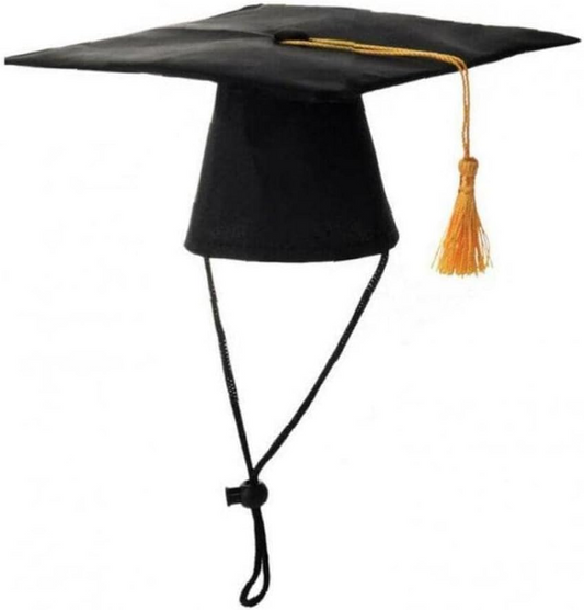 Καπέλο αποφοίτησης σκύλου γάτας Graduate