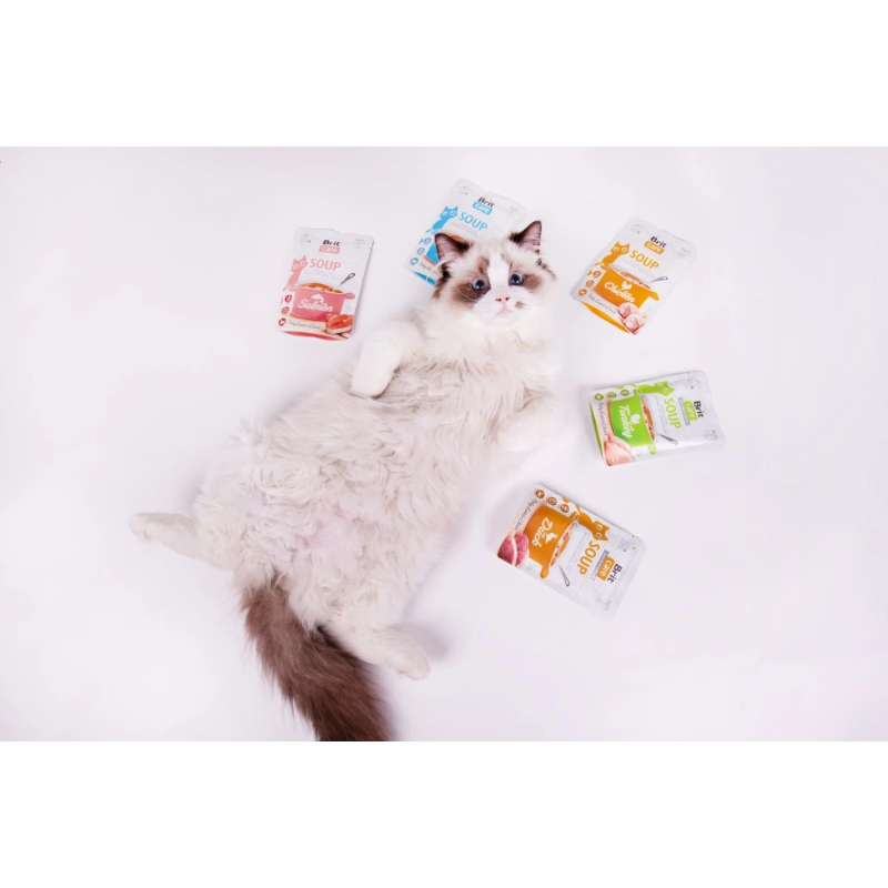 Φακελάκι-Σούπα για γάτες BRIT Care Soup (75gr) (πολλές γεύσεις)