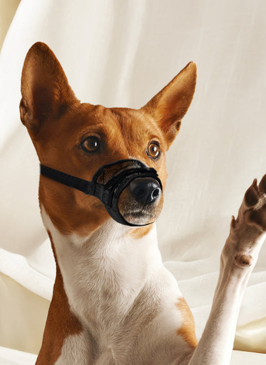 Υφασμάτινο Φίμωτρο σκύλου Nylon Muzzle (πολλά μεγέθη)