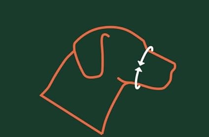 Φίμωτρο σκύλου Big Muzzle