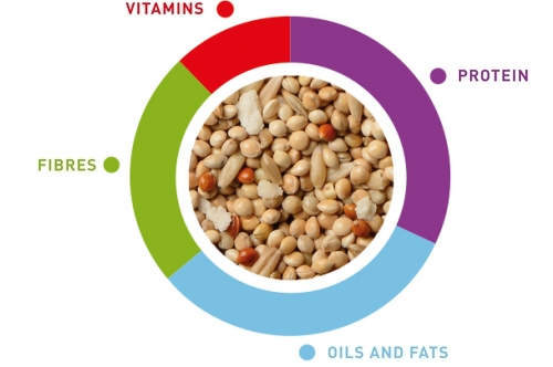 Τροφή για παπαγαλάκια Sunmix Cocorite (850g)