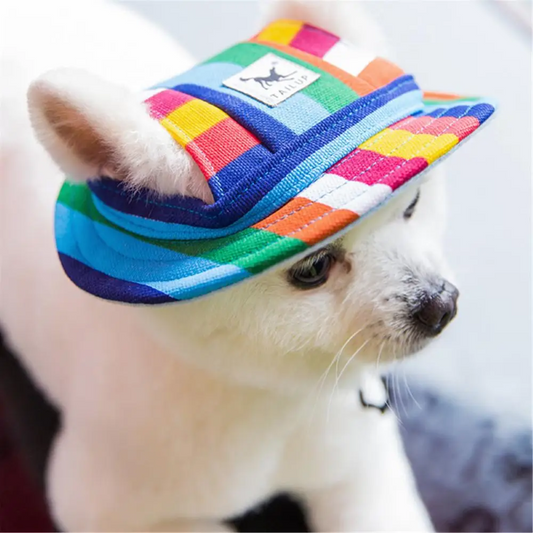 Καπέλο σκύλου Round Colors