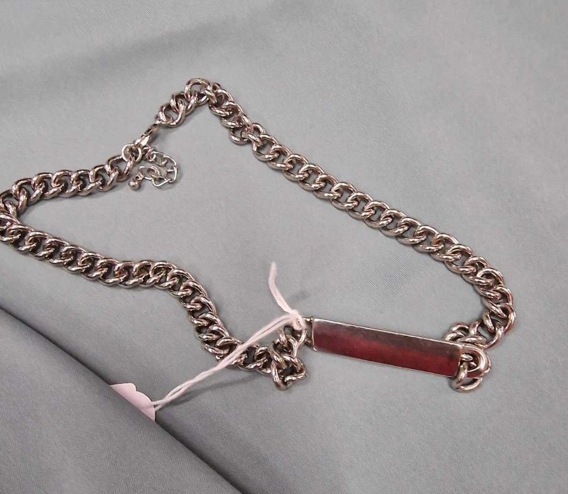 Κολιέ σκύλου BIG SILVER CHAIN