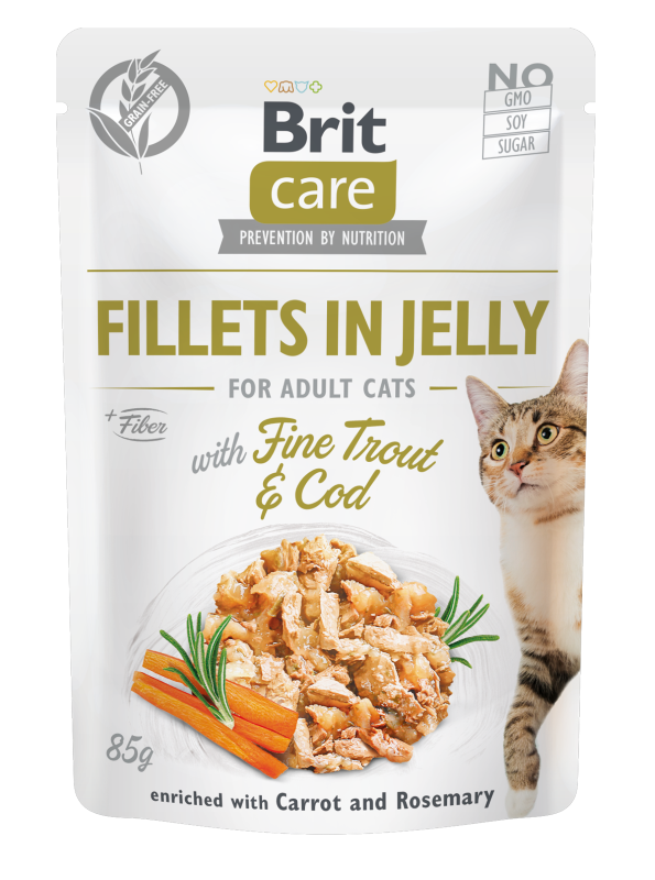 Κονσέρβα για γάτες BRIT CARE FILLETS IN JELLY (85gr)