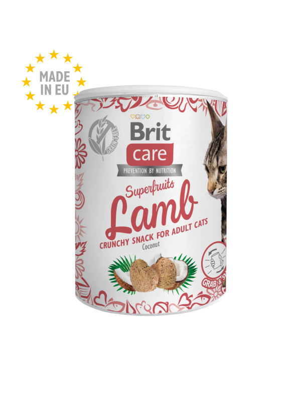 Λιχουδιά γάτας Brit Care (100gr)
