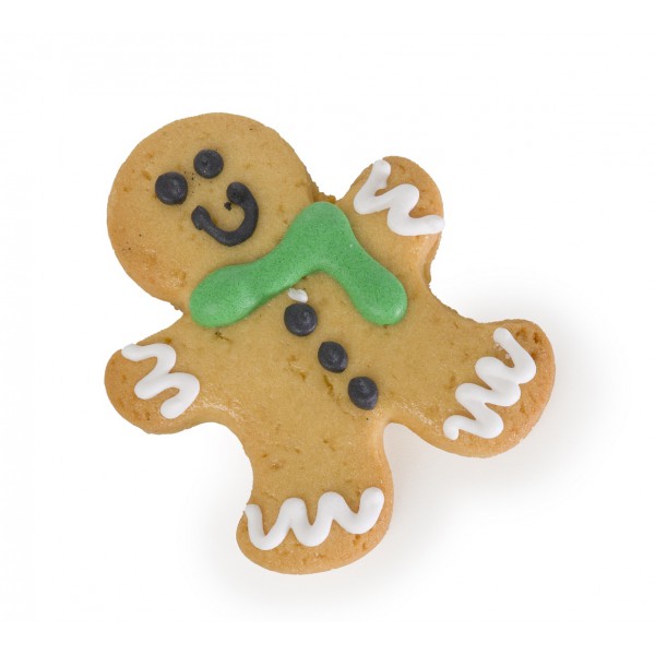 Λιχουδιά σκύλου Χριστουγεννιάτικη Ginger Scarf