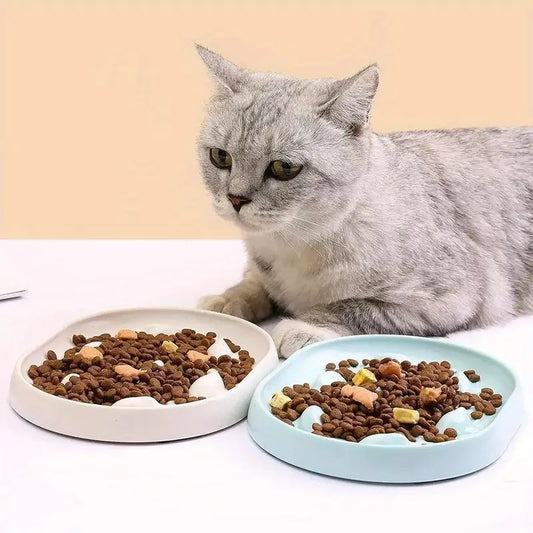 Μπολ γάτας αντιλαιμαργικό Fish