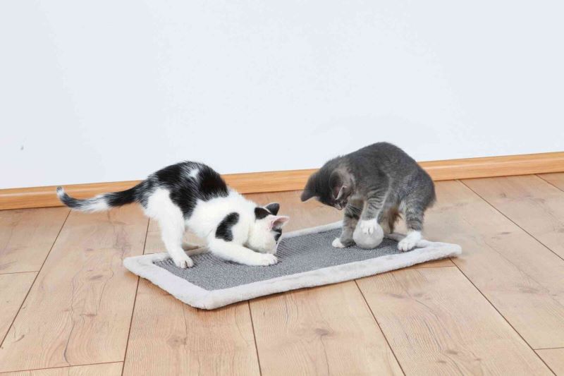 Ονυχοδρόμιο γάτας GRAY MAT