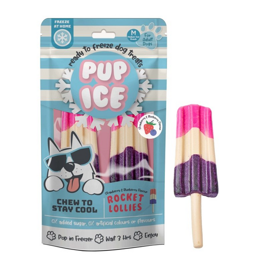 Παγωτό για σκύλους PUP ICE (90gr)