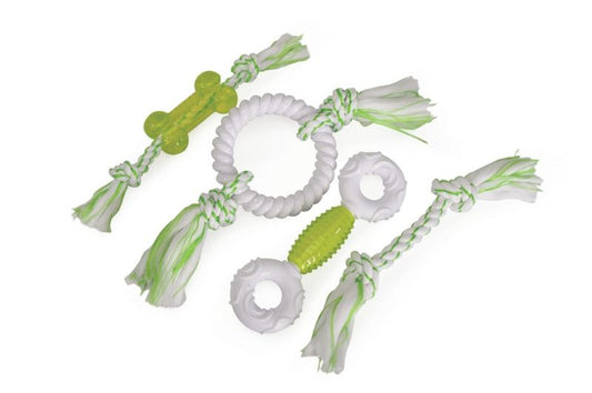 Παιχνίδι σκύλου 4 Dental Toys