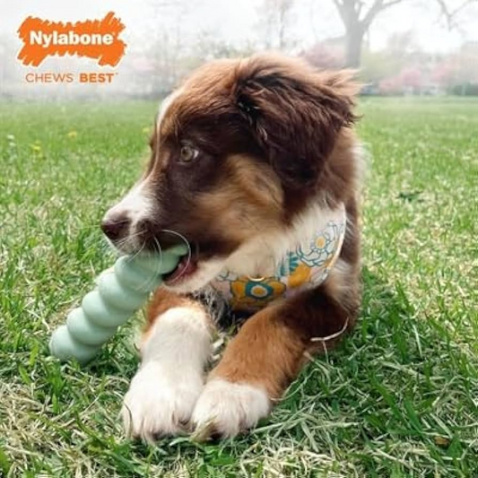 Παιχνίδι σκύλου Nylabone Roll & Chew Soothing Grooves Peanut Butter (S)