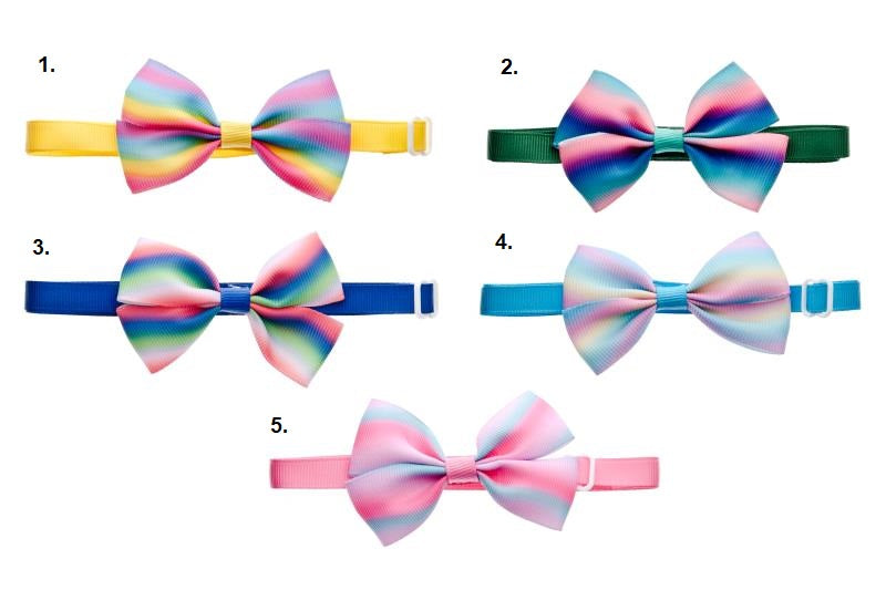 Παπιγιόν σκύλου-γάτας Rainbow