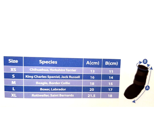 Παπούτσια σκύλου PAWISE