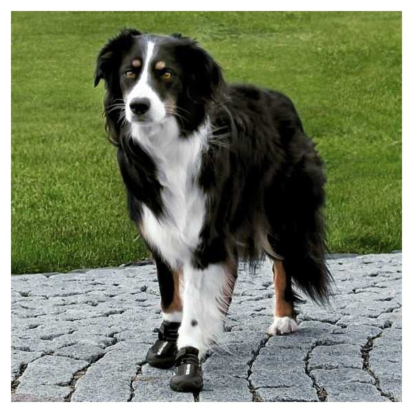 Παπούτσια σκύλου WALKER ACTIVE
