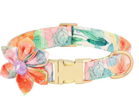 Περιλαίμιο σκύλου Floral Dog
