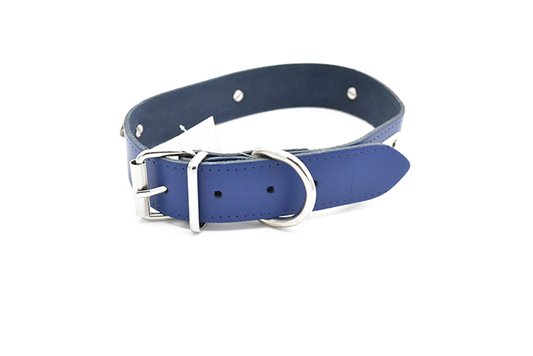 Περιλαίμιο σκύλου Zirgon Blue