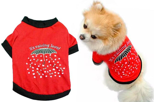 Ρούχο σκύλου LOVE RAIN