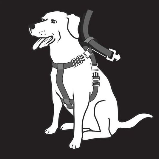 Σαμαράκι σκύλου Car Safety for Big Dogs