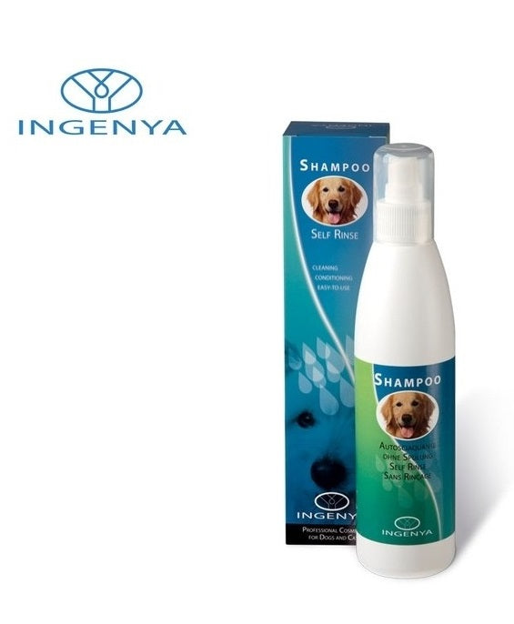 Σαμπουάν στεγνού καθαρισμού Ingenya