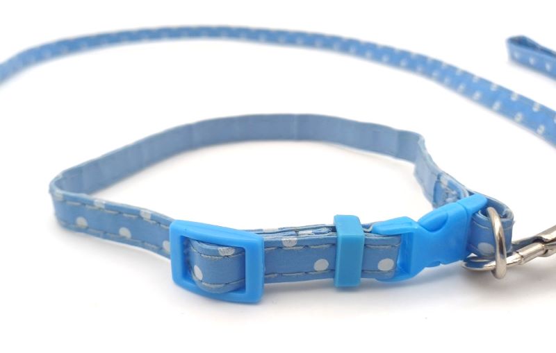 Σετ οδηγός-περίλαίμιο σκύλου-γάτας Γαλάζιο Πουά