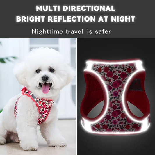 Σετ επιστήθιο γιλεκάκι-οδηγός σκύλου Lovely Roses