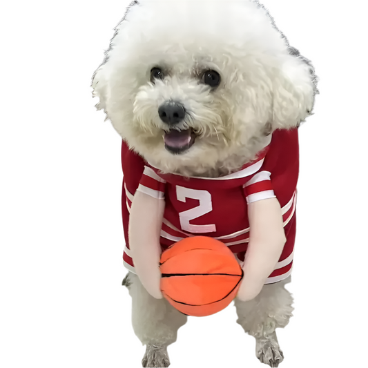 Αποκριάτικη στολή σκύλου Basketball
