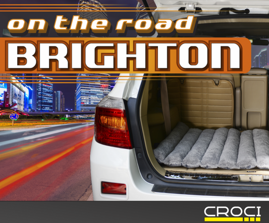 Στρωματάκι ταξιδίου σκύλου Brighton (M)