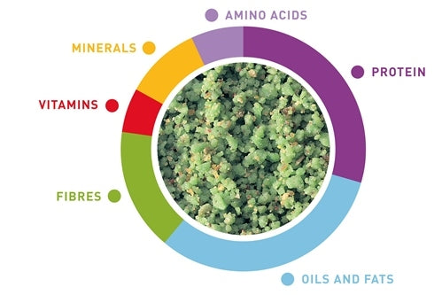 Βιταμίνη Πτηνών Padovan Melange Vegetable
