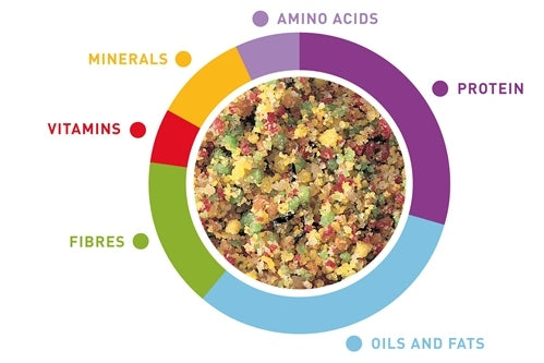 Βιταμίνη Πτηνών Padovan Melange Fruit (300gr)