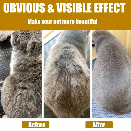 Βούρτσα ατμού σκύλου γάτας Electric Steam Brush