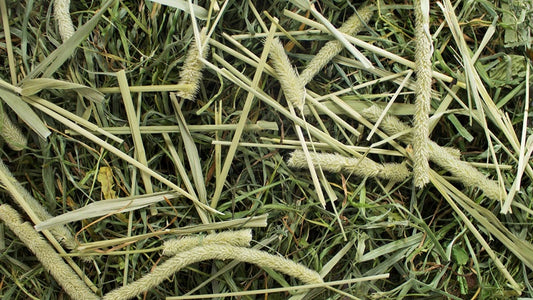 Χόρτο τρωκτικών JR Farm Natural (300gr.)