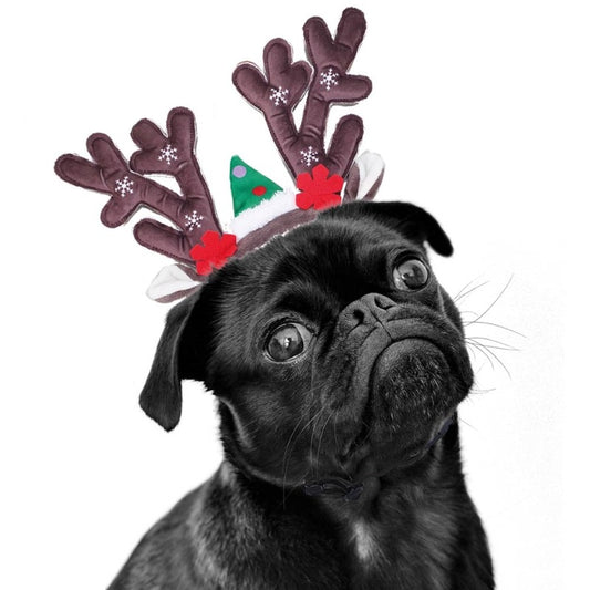 Χριστουγεννιάτικη στέκα  σκύλου XMAS CELEBRATE