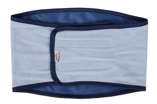 Ζώνη Mαρκαρίσματος για αρσενικούς σκύλους Light Blue