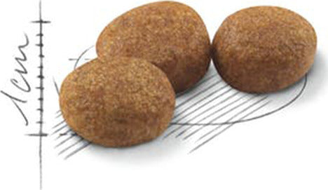 Ξηρά τροφή γάτας Royal Canin Sterilised Regular 37 για στειρωμένες γάτες