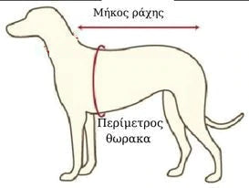 Ρούχο σκύλου γενεθλίων T-shirt HAPPY BIRTHDAY BLUE