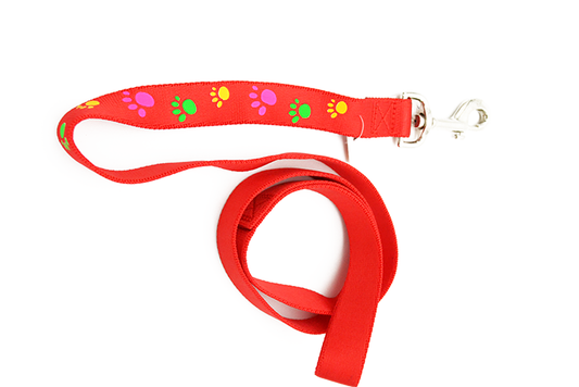 Οδηγός σκύλου Paws Large