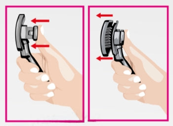 Βούρτσα σκύλου-γάτας Vanity Αυτοκαθαριζόμενη