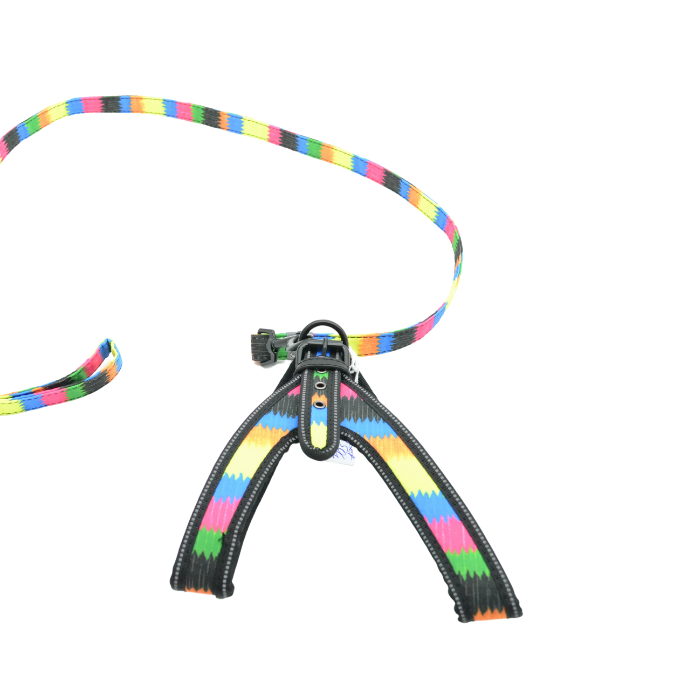 Σετ επιστήθιο-οδηγός Colourful