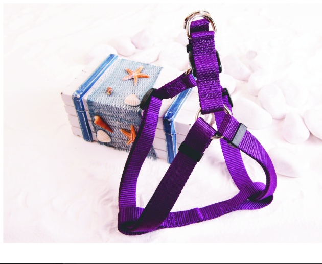 Επιστήθιο σκύλου Dοgness Harness