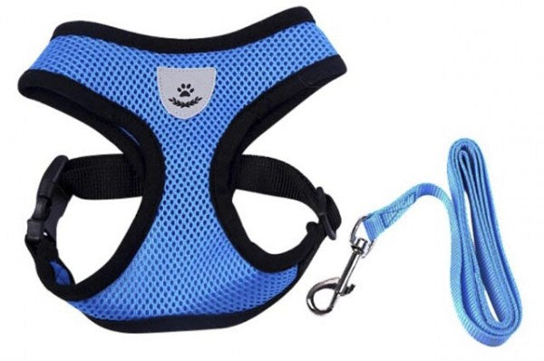 Σετ επιστήθιο-οδηγός σκύλου Paw