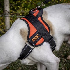 Επιστήθιο σκύλου RAC Walking Harness