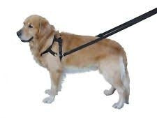 Επιστήθιο σκύλου Mαύρο Top Walk Nobby