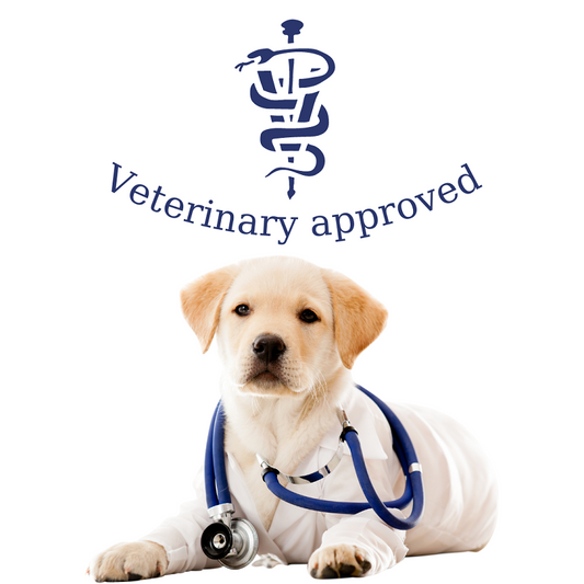 Μπολ κατά της ταχυφαγίας σκύλου Adagio Cross Small